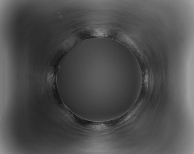 X0000088480322200705291632