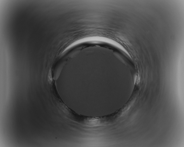 X0000088480325200705291632