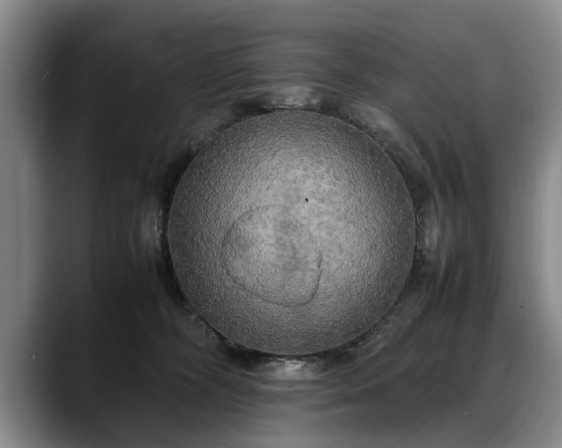 X0000088480326200705291632