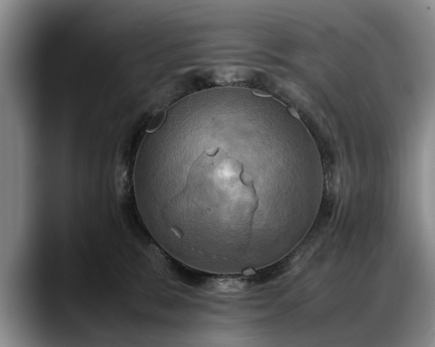 X0000088480327200705291632