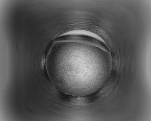 X0000088480329200705291632