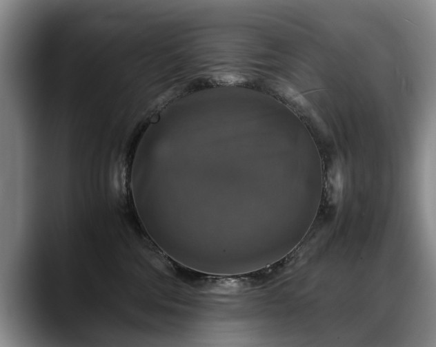 X0000088480330200705291632