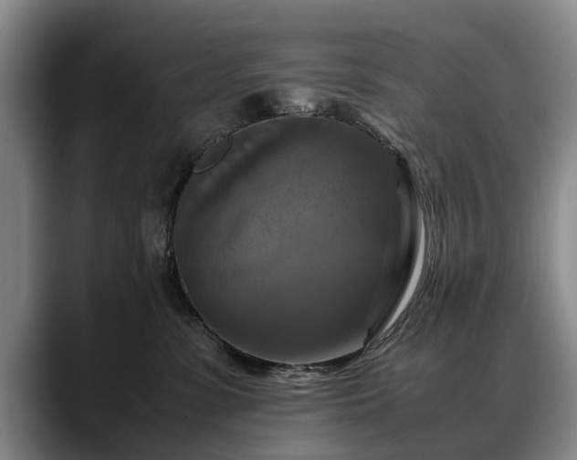X0000088480331200705291632