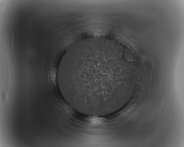 X0000088480336200705291632