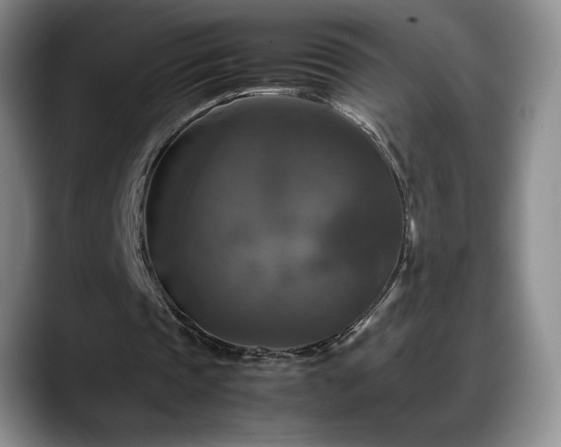 X0000088480337200705291632