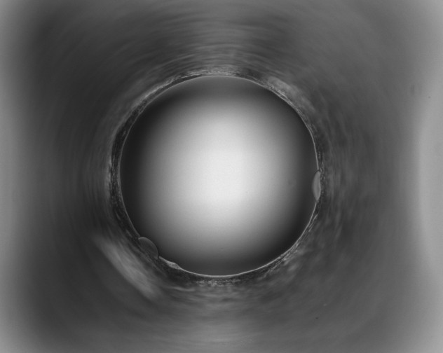 X0000088480338200705291632