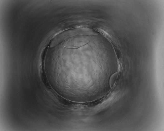 X0000088480339200705291632