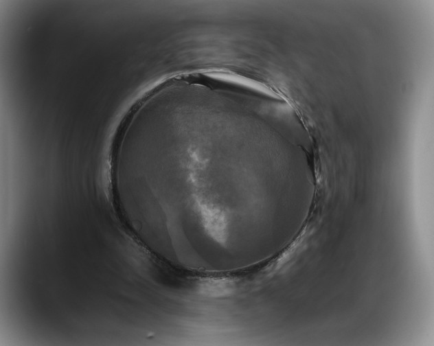 X0000088480342200705291632