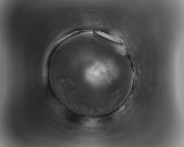 X0000088480343200705291632