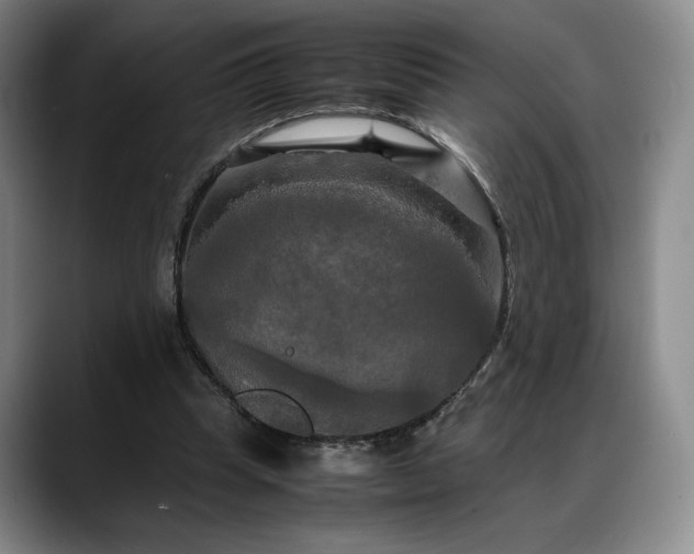 X0000088480345200705291632