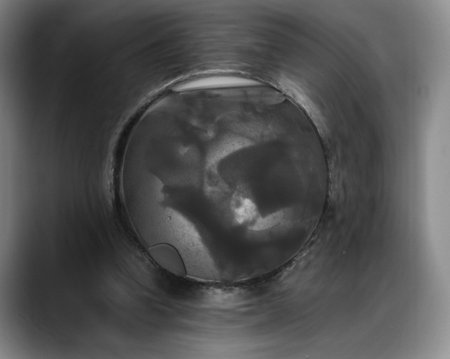 X0000088480346200705291632