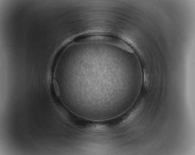 X0000088480348200705291632