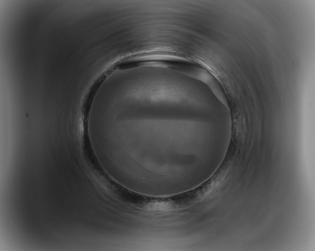 X0000088480350200705291632