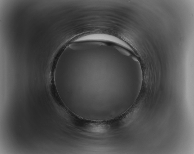 X0000088480351200705291632