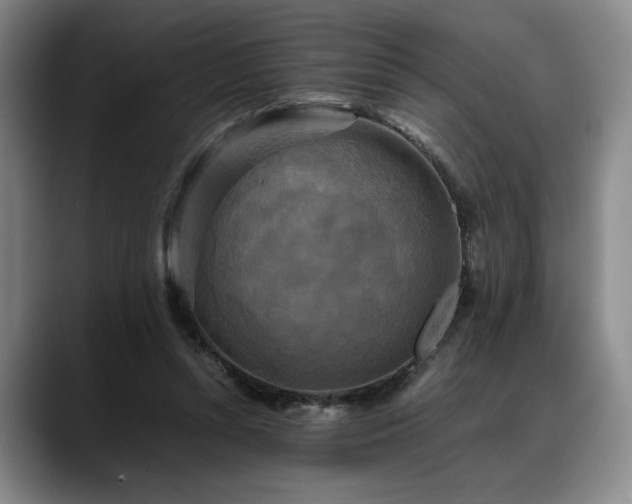 X0000088480352200705291632