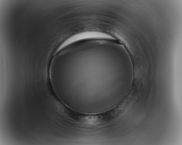 X0000088480353200705291632