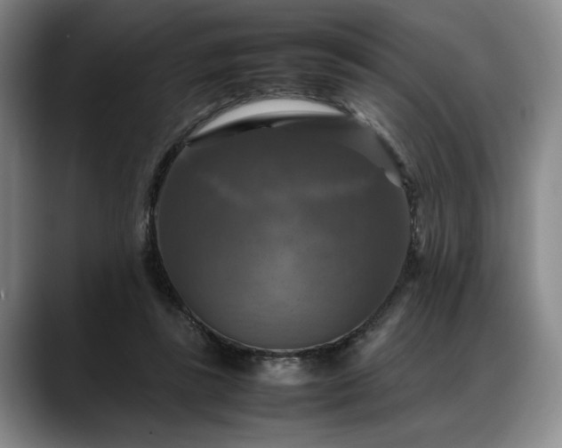 X0000088480355200705291632