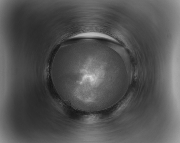 X0000088480356200705291632