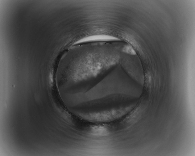 X0000088480358200705291632