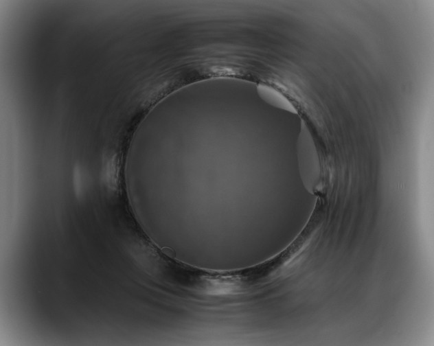 X0000088480359200705291632