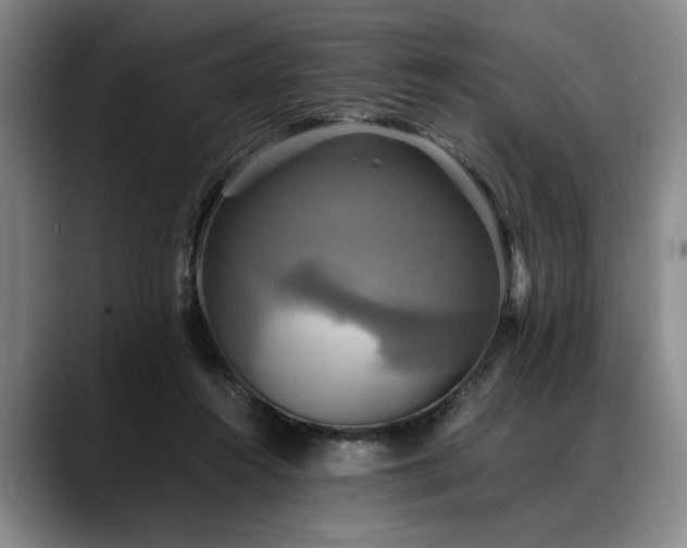 X0000088480360200705291632