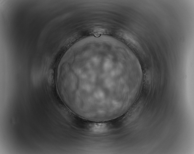 X0000088480361200705291632