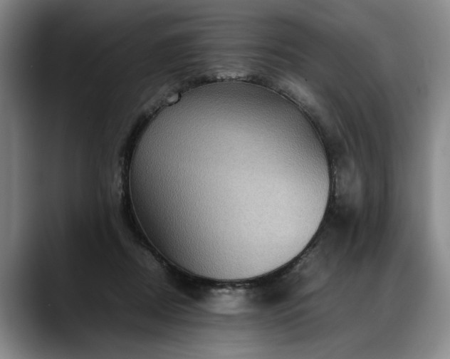X0000088480362200705291632