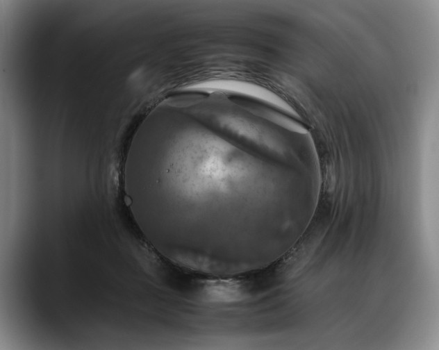 X0000088480363200705291632