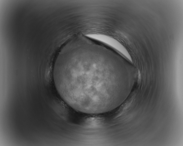 X0000088480364200705291632