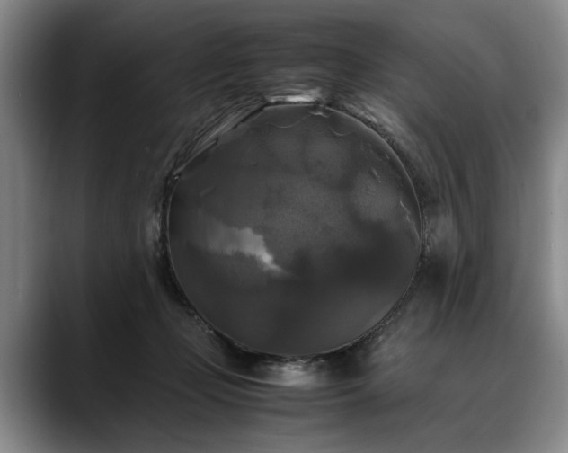 X0000088480365200705291632