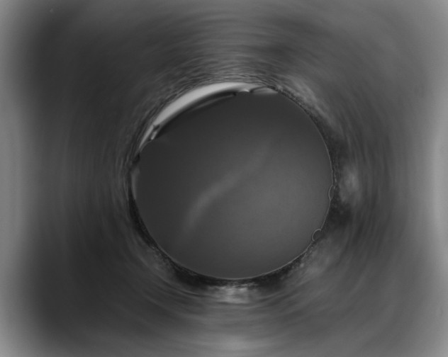 X0000088480366200705291632