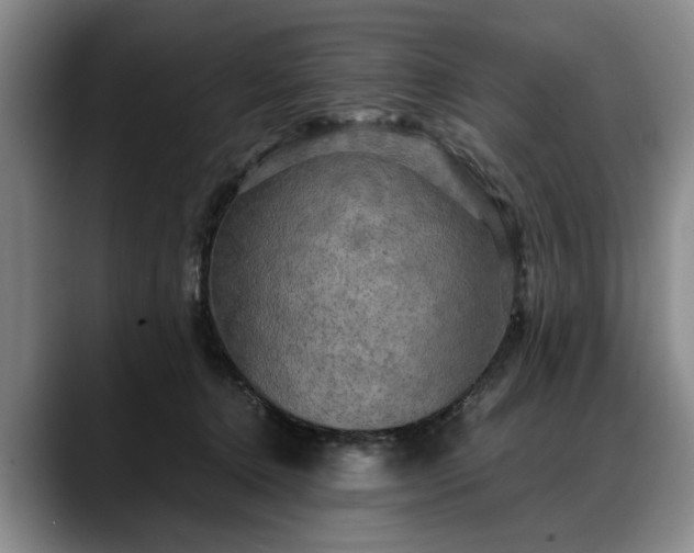 X0000088480368200705291632