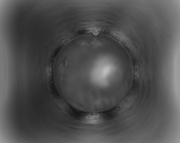 X0000088480369200705291632
