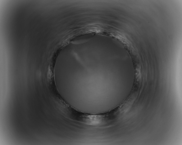 X0000088480371200705291632