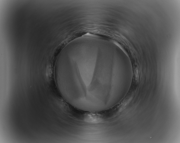 X0000088480372200705291632