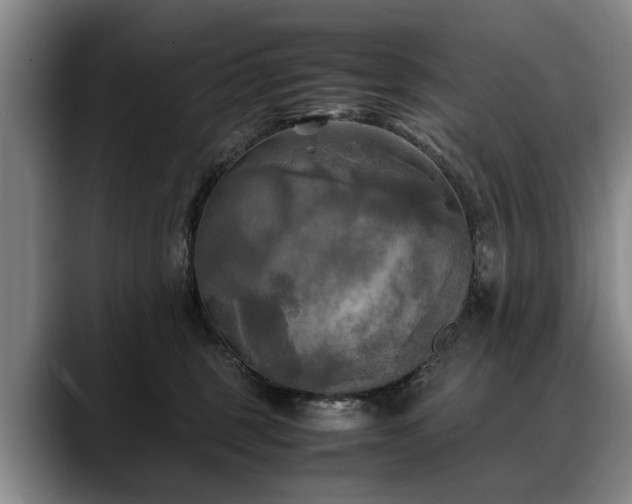 X0000088480375200705291632