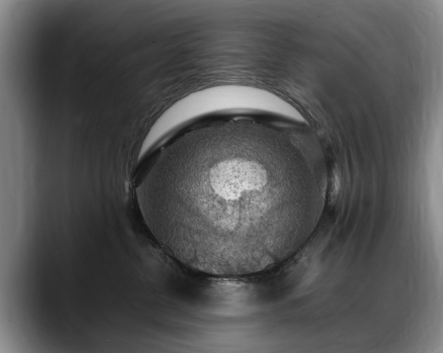 X0000088480380200705291632