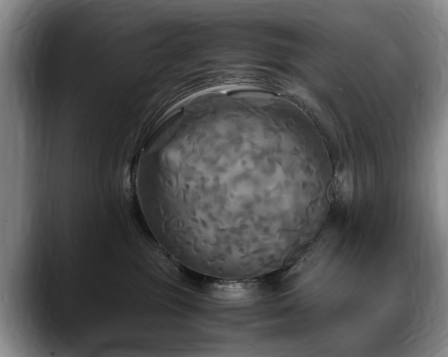X0000088480381200705291632