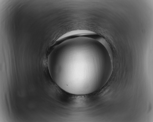 X0000088480384200705291632
