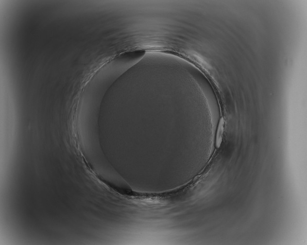 X0000088480385200705291632