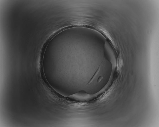 X0000088480387200705291632