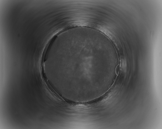 X0000088480390200705291632