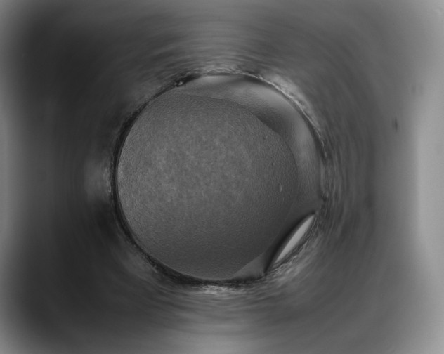 X0000088480393200705291632