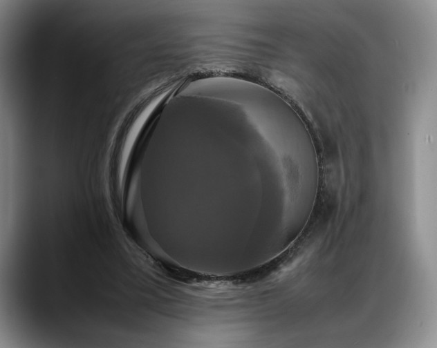 X0000088480395200705291631
