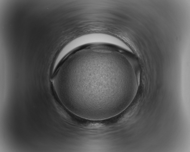 X0000088480397200705291631