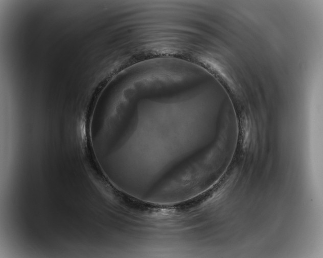 X0000088480398200705291631