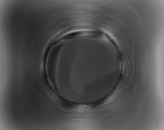 X0000088480399200705291631