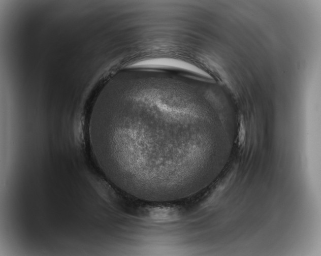 X0000088480400200705291631