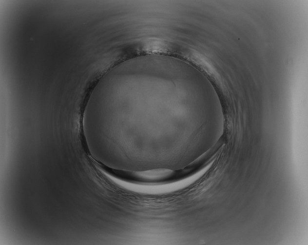 X0000088480401200705291631