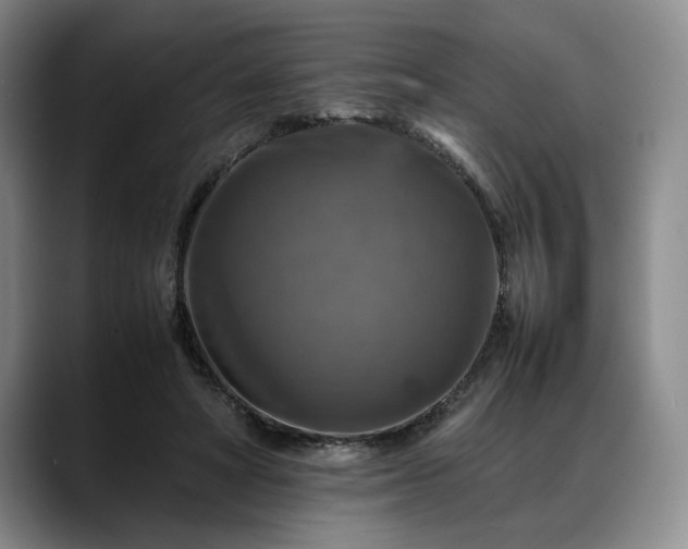 X0000088480402200705291631